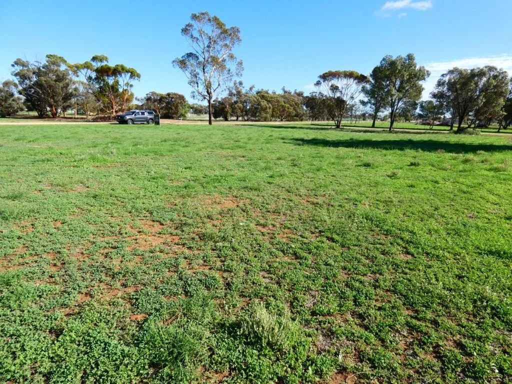 Additional image 3 of 91 Phillips St, Beulah VIC 3395