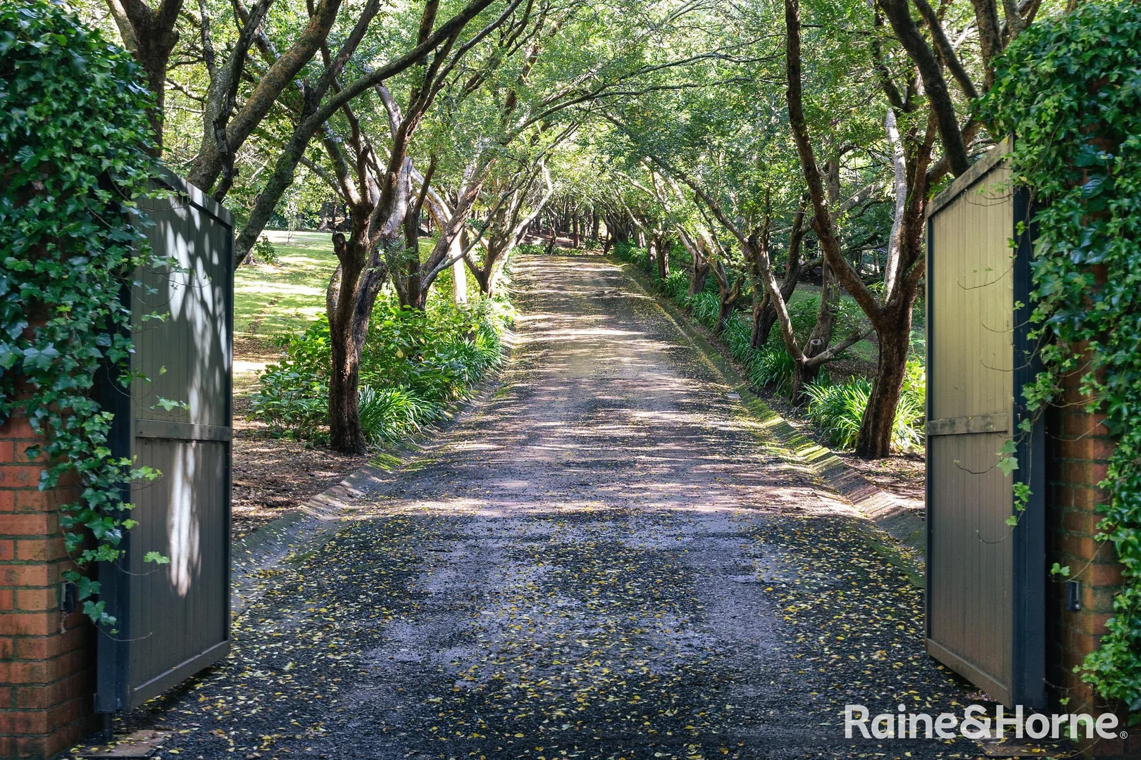 Additional image 10 of 101 Pearsons Lane, Robertson NSW 2577