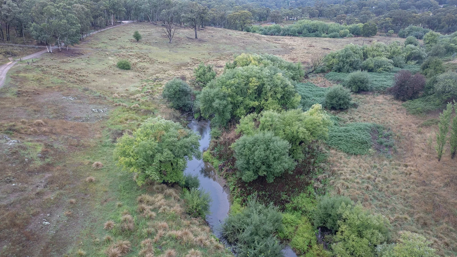 Additional image 13 of 241 Cullya Road, Summer Hill Creek NSW 2800