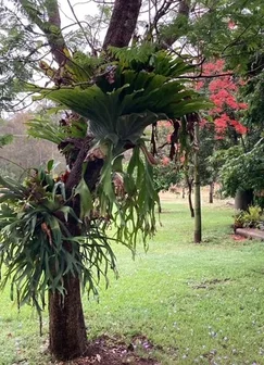 Additional image 67 of 103 Rural Road, Nanango QLD 4615