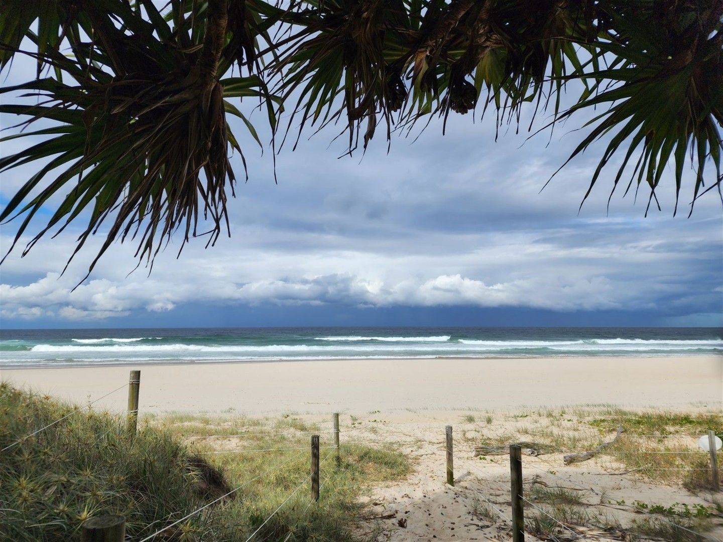 New Brighton NSW 2483 1 bed studio for Rent, 600 per week including