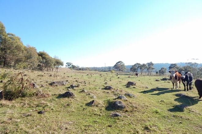 Picture of 2252 Snowy Mountains Highway, COOMA NSW 2630