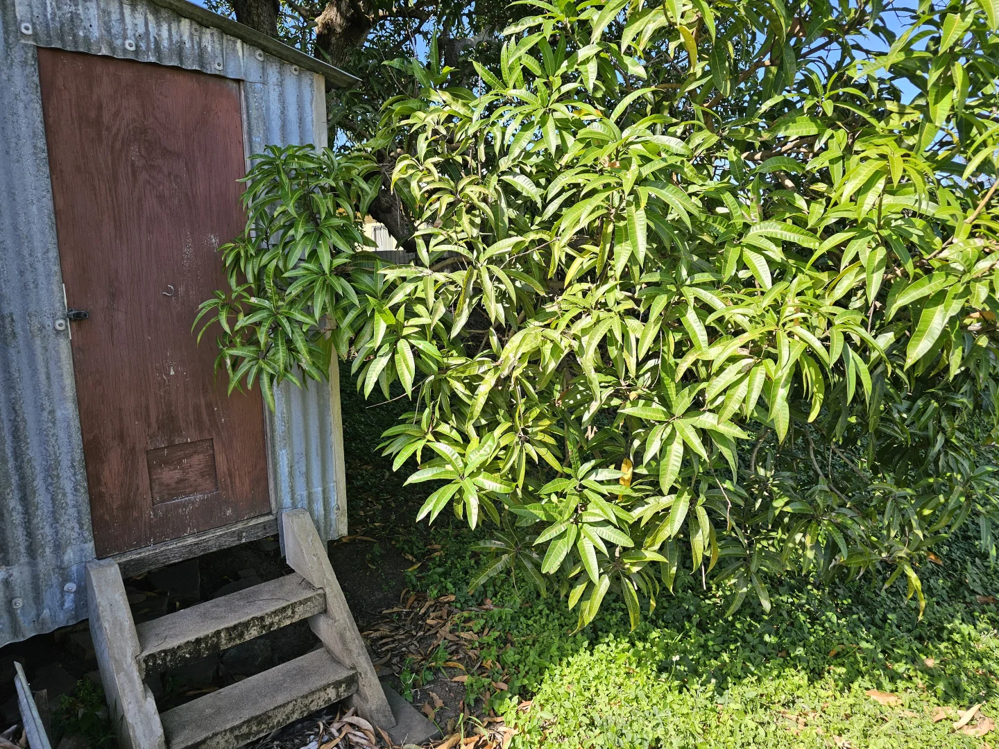 Image 30
