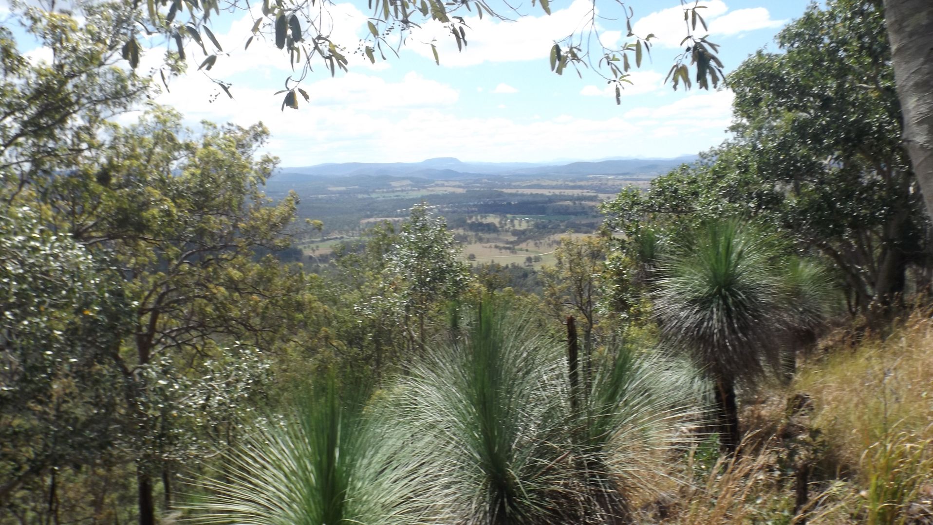 Lot 221 Plains Station Road, Tabulam NSW 2469, Image 1