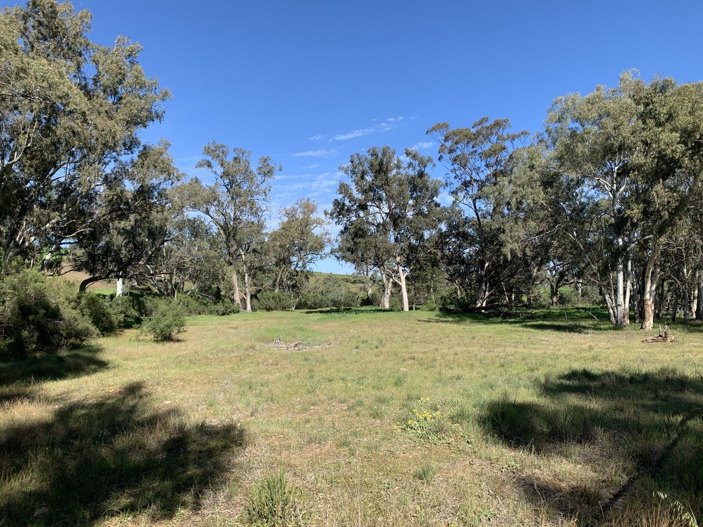 6 Wirrabara-Appila Road, Wirrabara SA 5481, Image 0