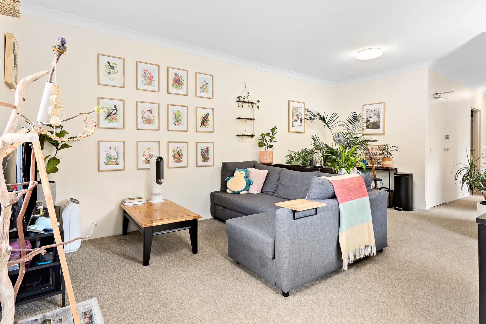 2/13 Belmont Avenue, Wollstonecraft NSW 2065, Image 1