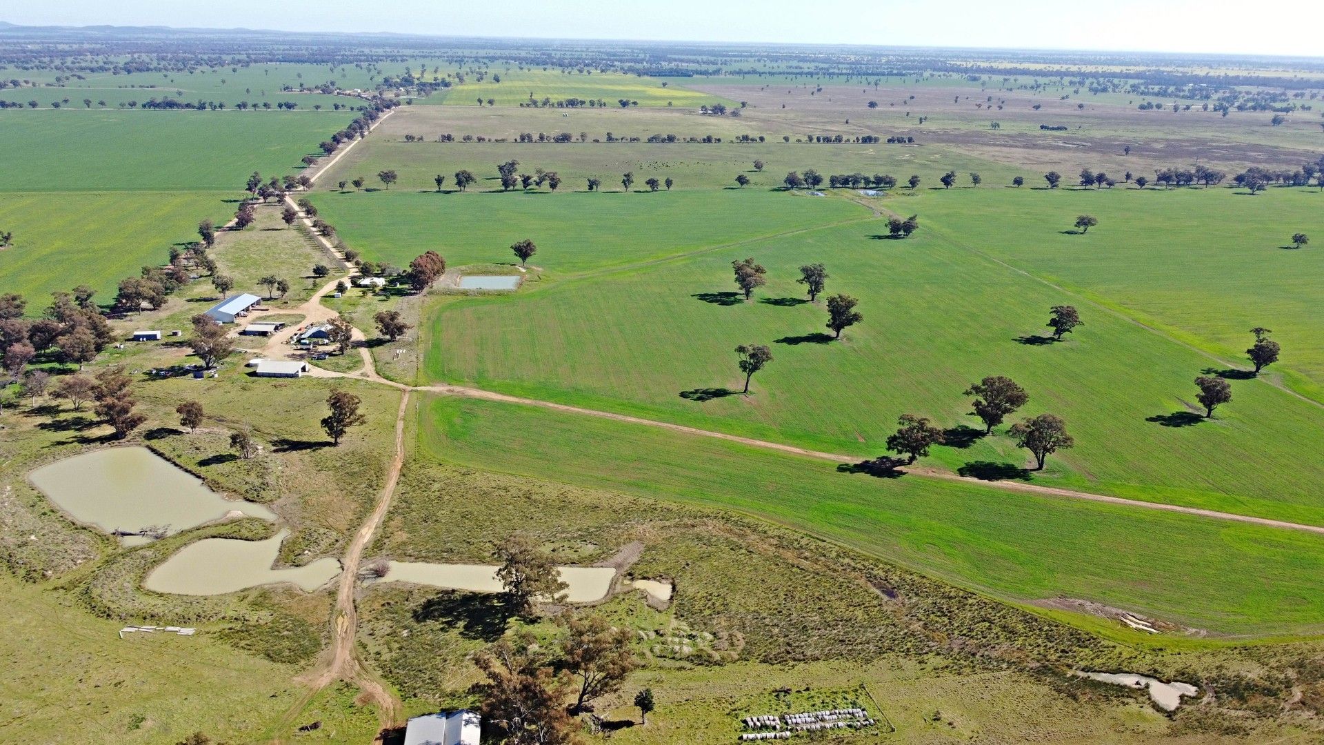 119 Bland Estate Road, Bribbaree NSW 2594 - House for Sale | Domain