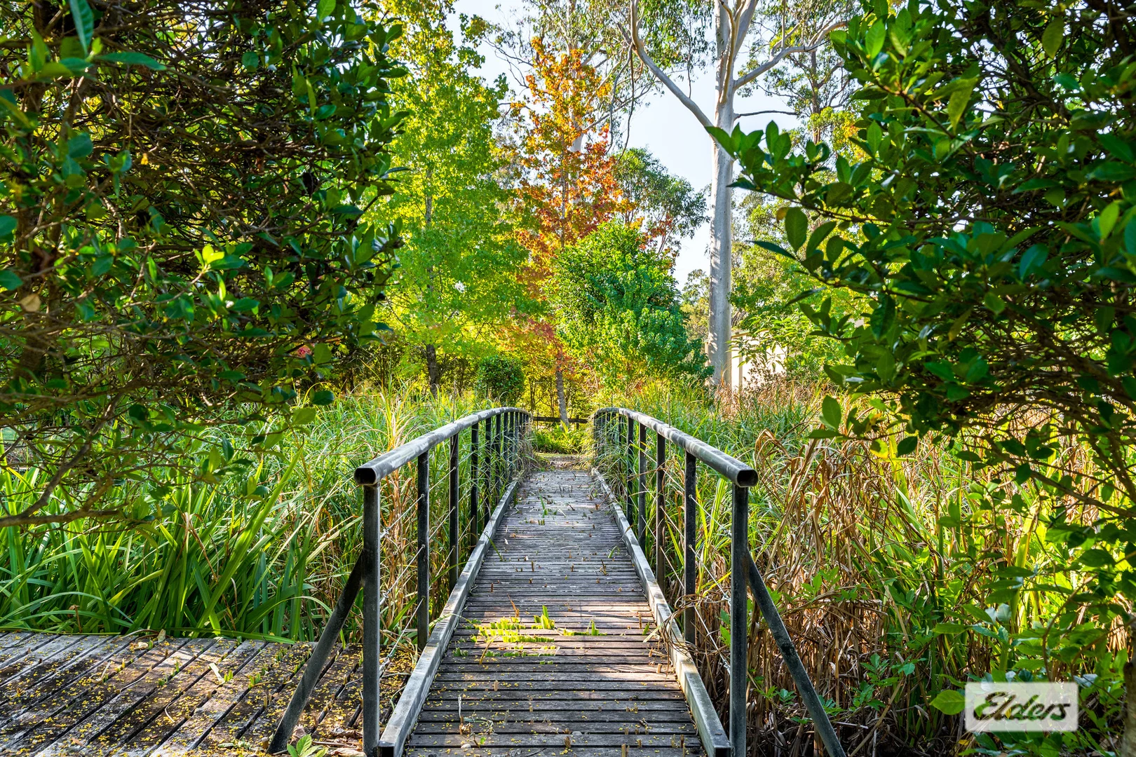 Additional image 36 of 3 Victor Close, Taree NSW 2430