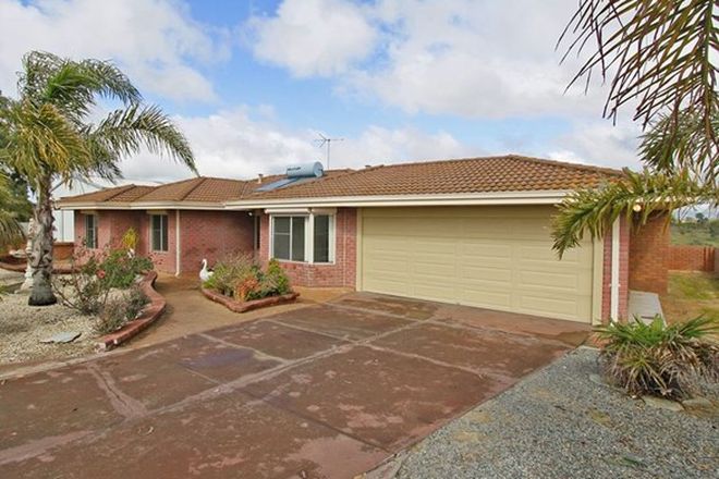 Picture of 163 Dalison Avenue, WATTLEUP WA 6166