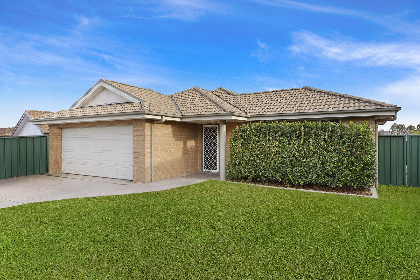 29 Highberry Street, Woongarrah NSW 2259, Image 0