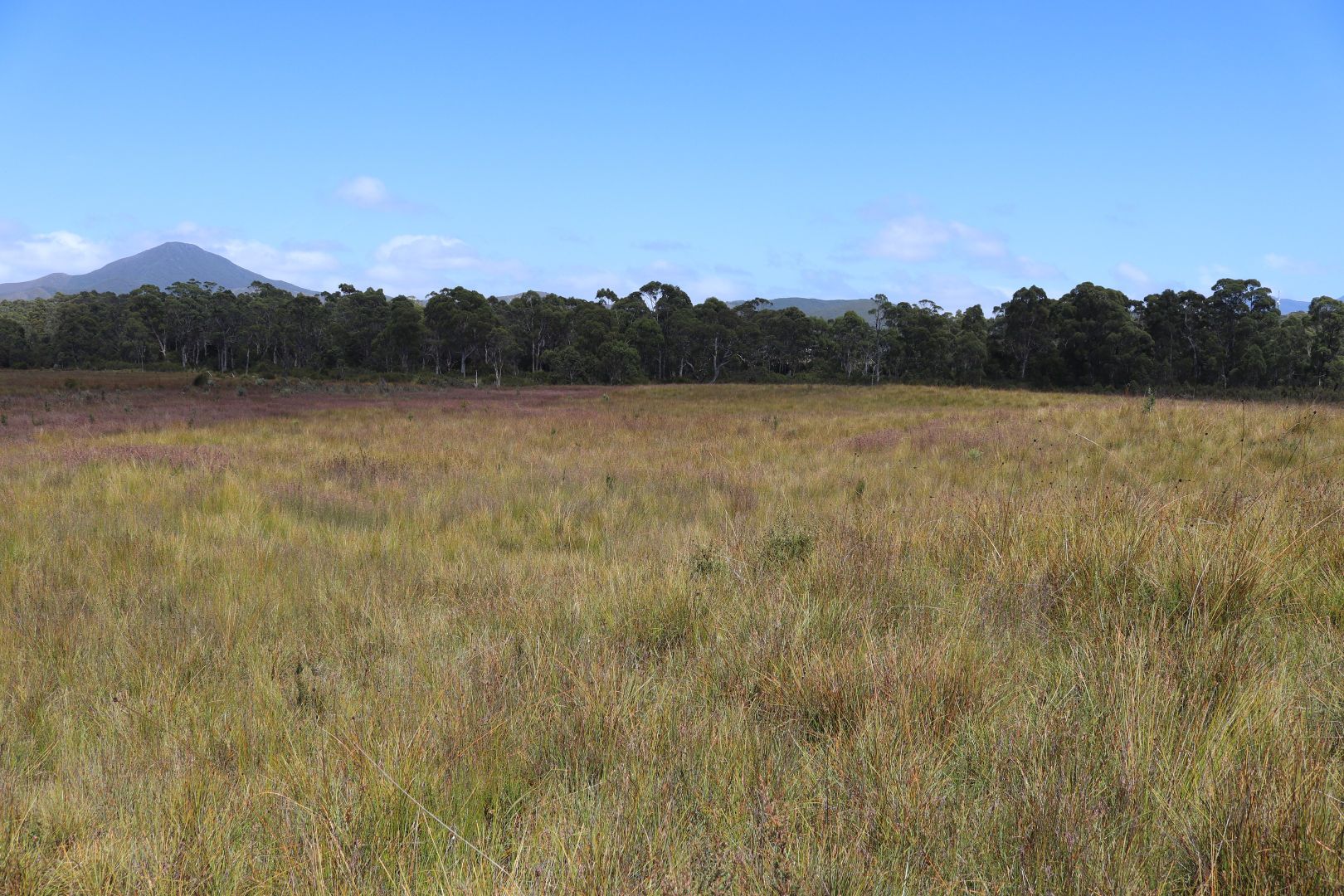 Zeehan TAS 7469 Vacant Land for Sale Domain