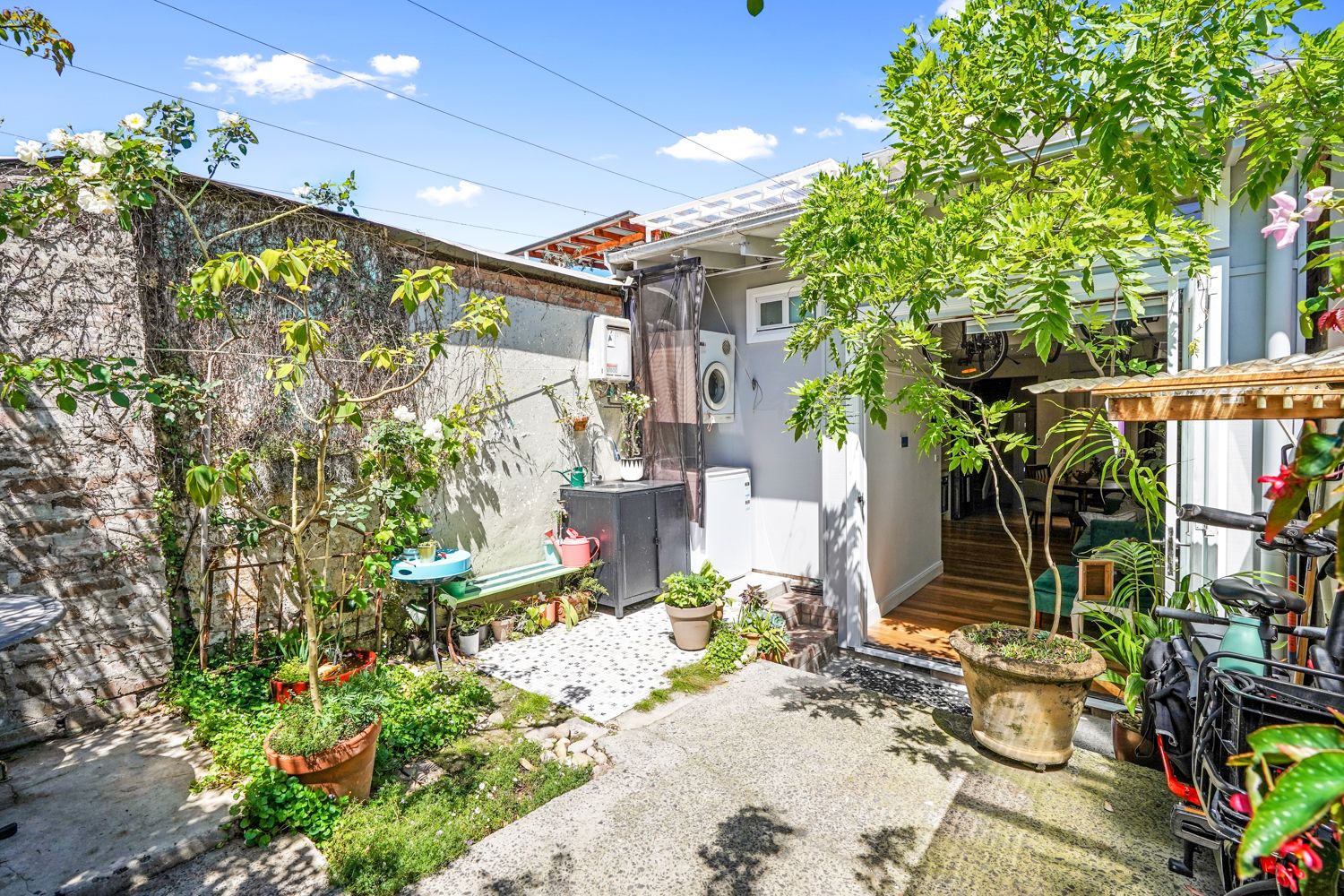 33 Junior Street, Leichhardt NSW 2040, Image 0