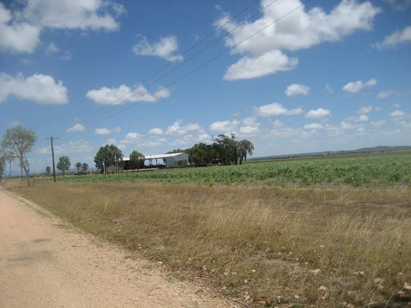 Image 10