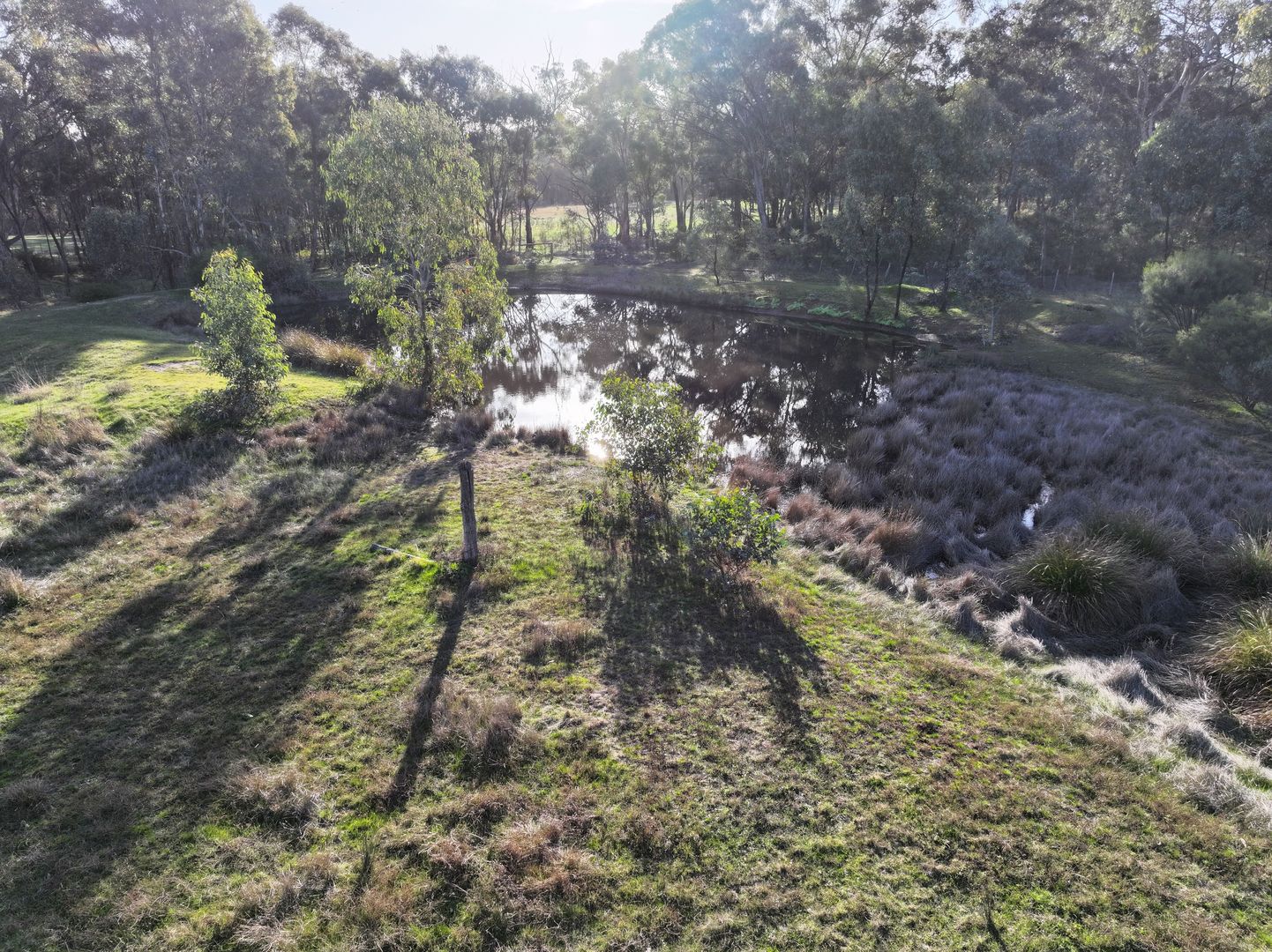 Pipeclay Road, Rheola VIC 3517, Image 1