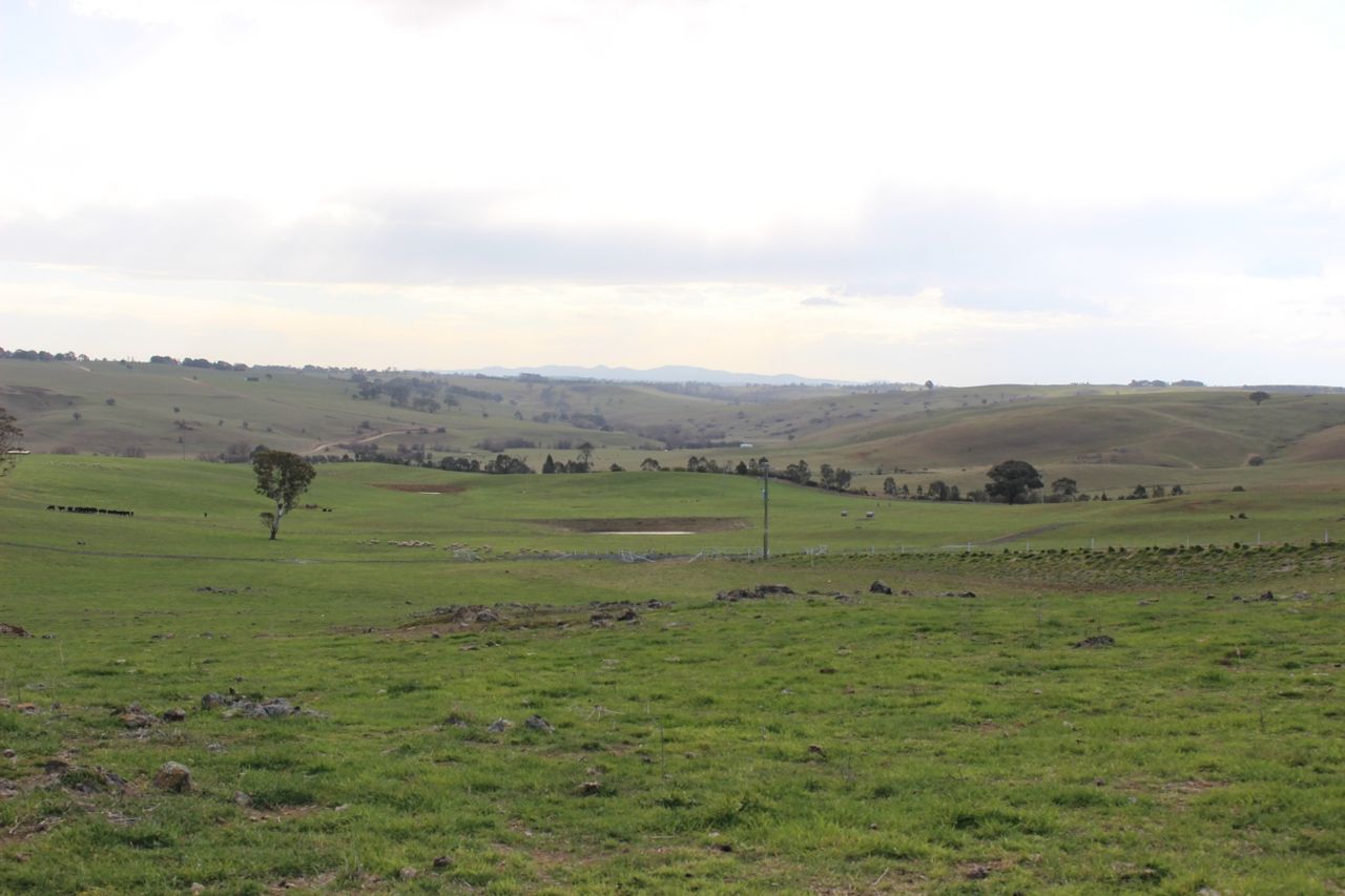 Lot 211 Browns Creek Road, Blayney NSW 2799, Image 1