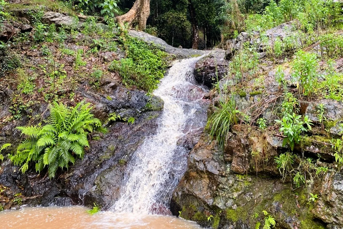 Additional image 26 of 16 Bluff Road, Kenilworth QLD 4574