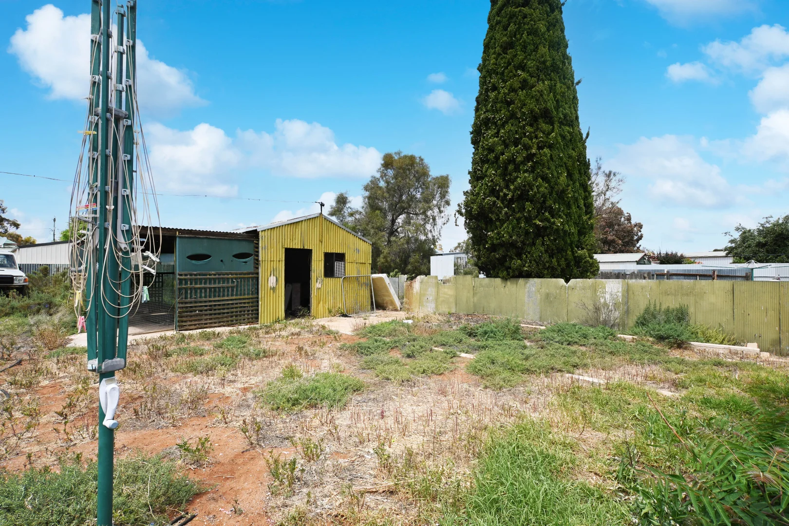 Image 11