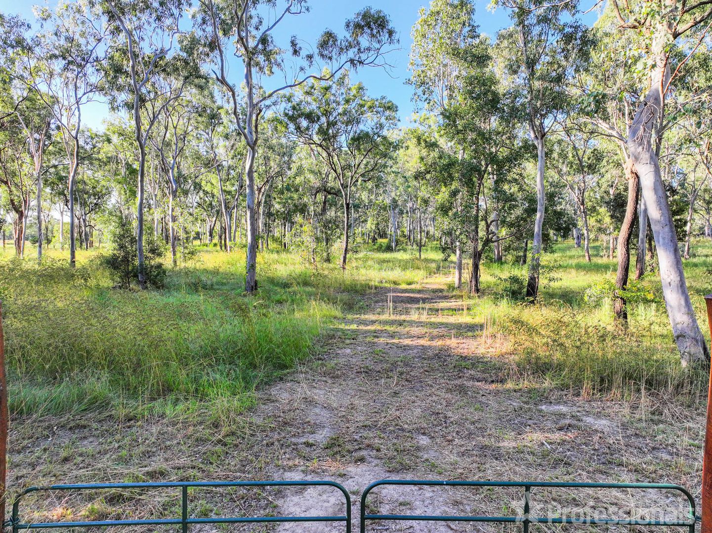 36 Sommer Road, Cawarral QLD 4702, Image 2