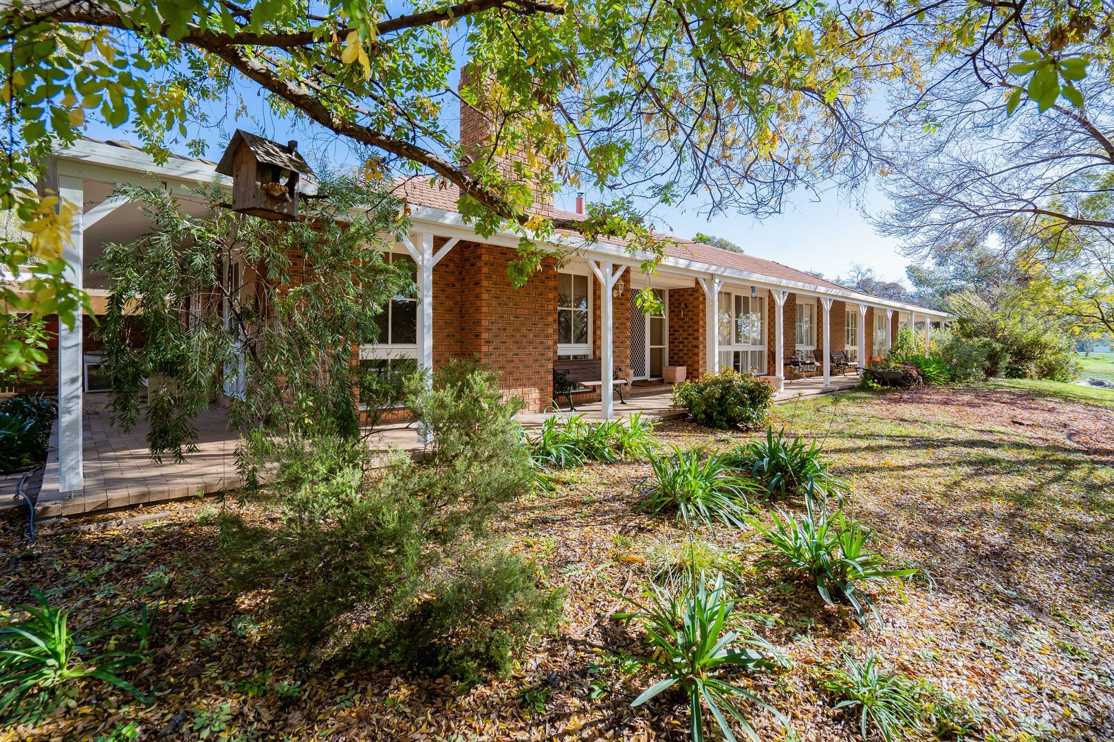 10 Norman Duck Avenue, San Isidore NSW 2650, Image 1