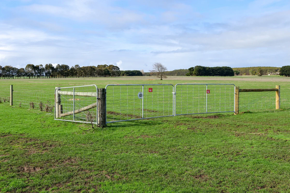 Image 17