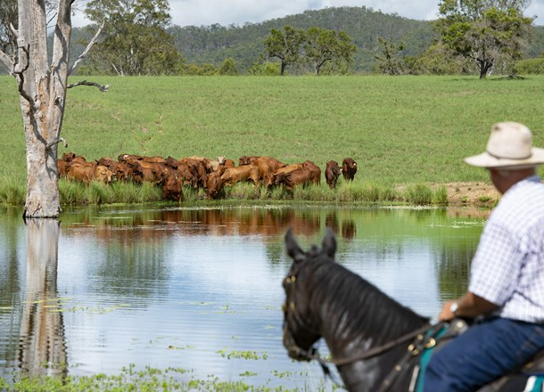 1519 Agnesvale Road, Kullogum QLD 4660