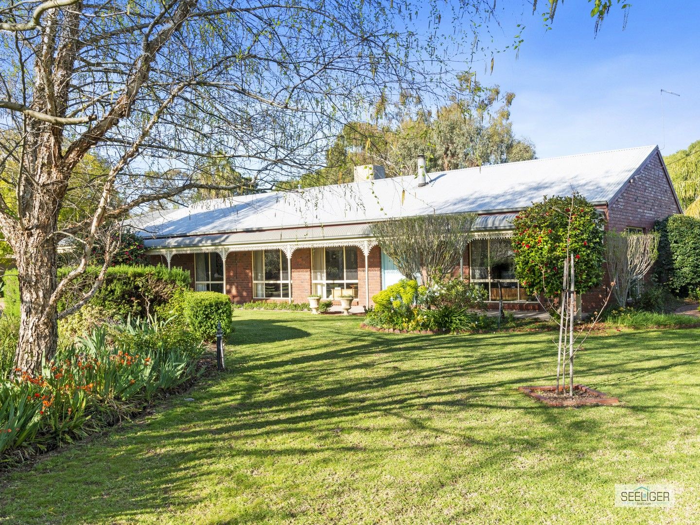 37 Wandoo Court, Mulwala NSW 2647 Domain