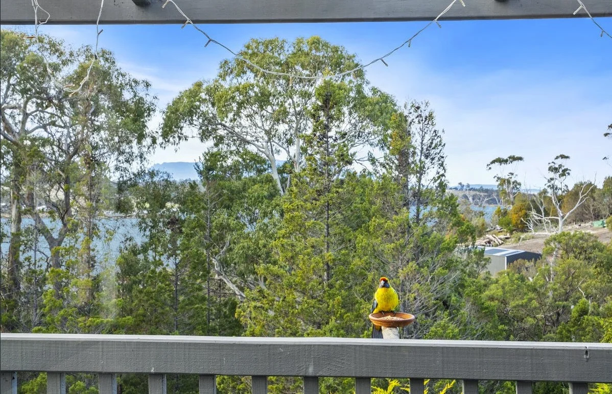 Additional image 28 of 79 Barton Avenue, Triabunna TAS 7190