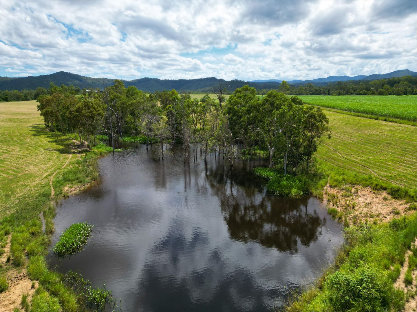 353 Pinnacle-Septimus Road, Pinnacle QLD 4741, Image 2