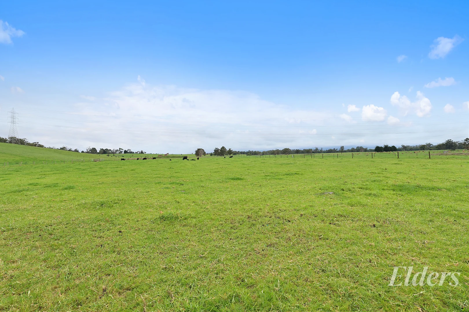Image 25