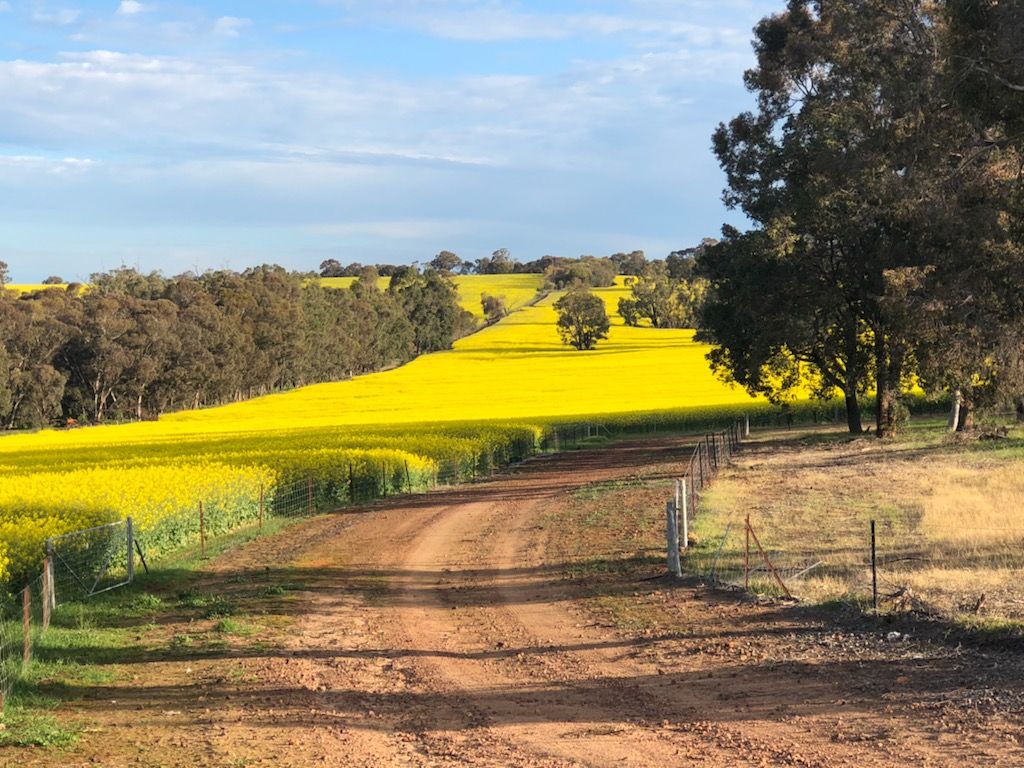 25 Nebrikinning Road, Cuballing WA 6311, Image 1