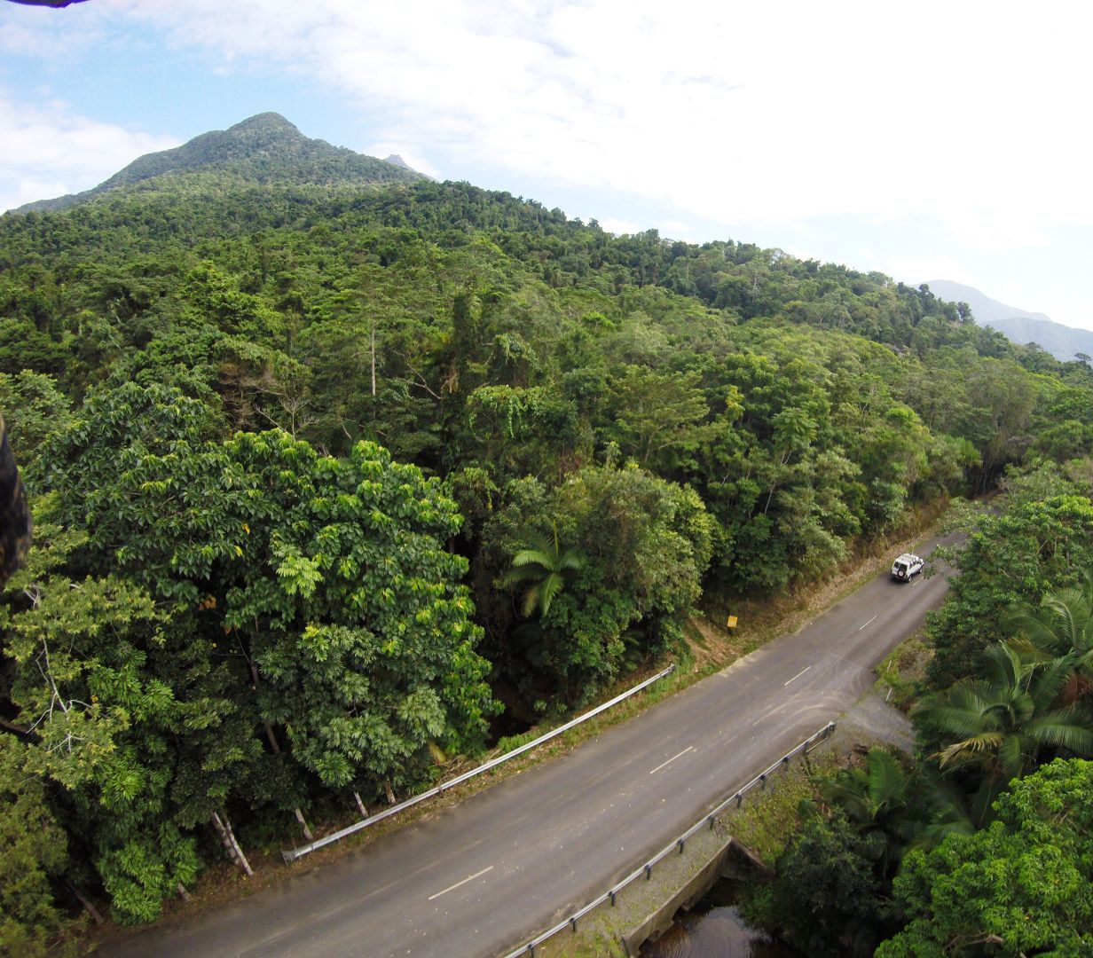 Lot 2 (2066) Cape Tribulation Road, Daintree QLD 4873, Image 1