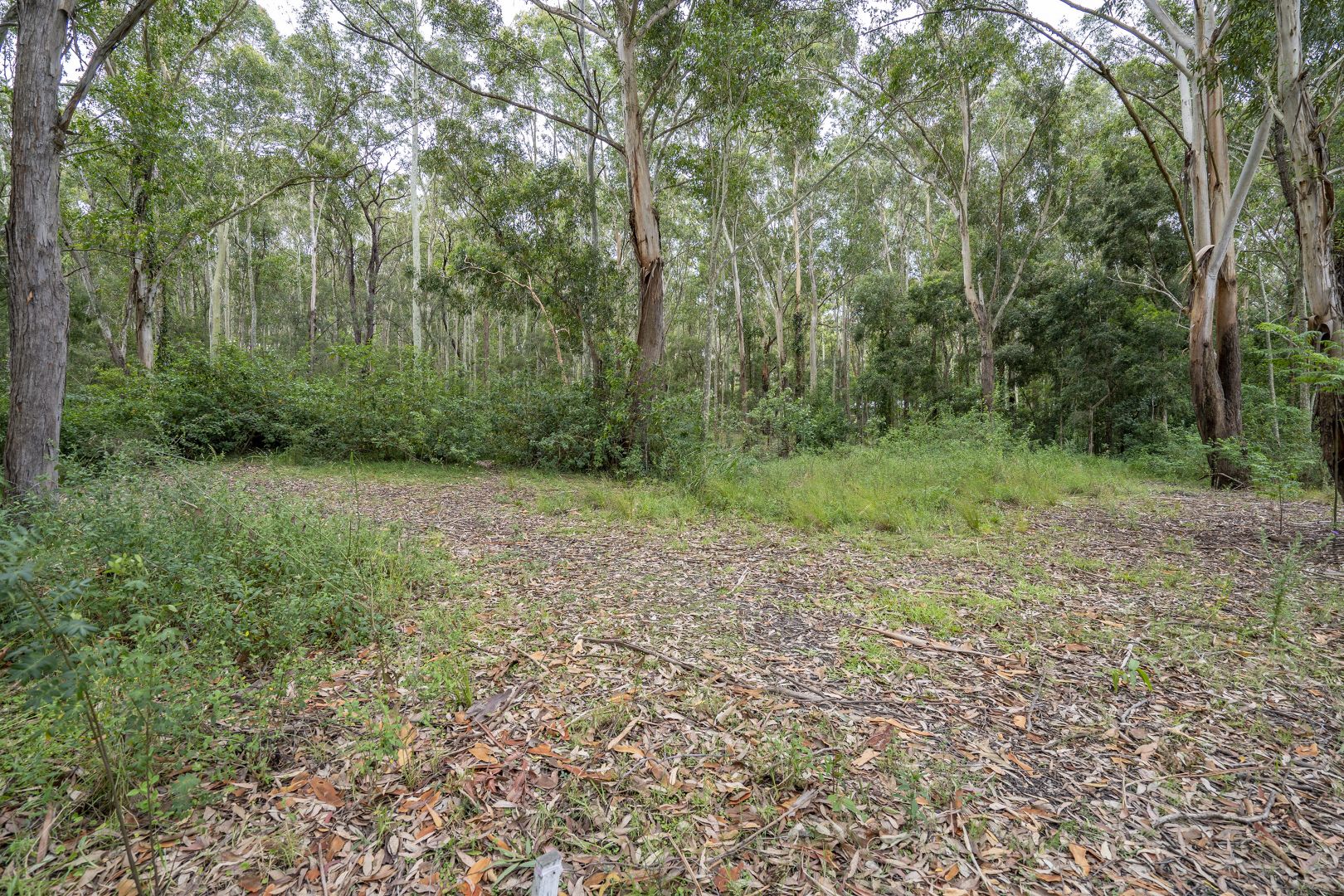 35 Dora Street, Cooranbong NSW 2265, Image 1