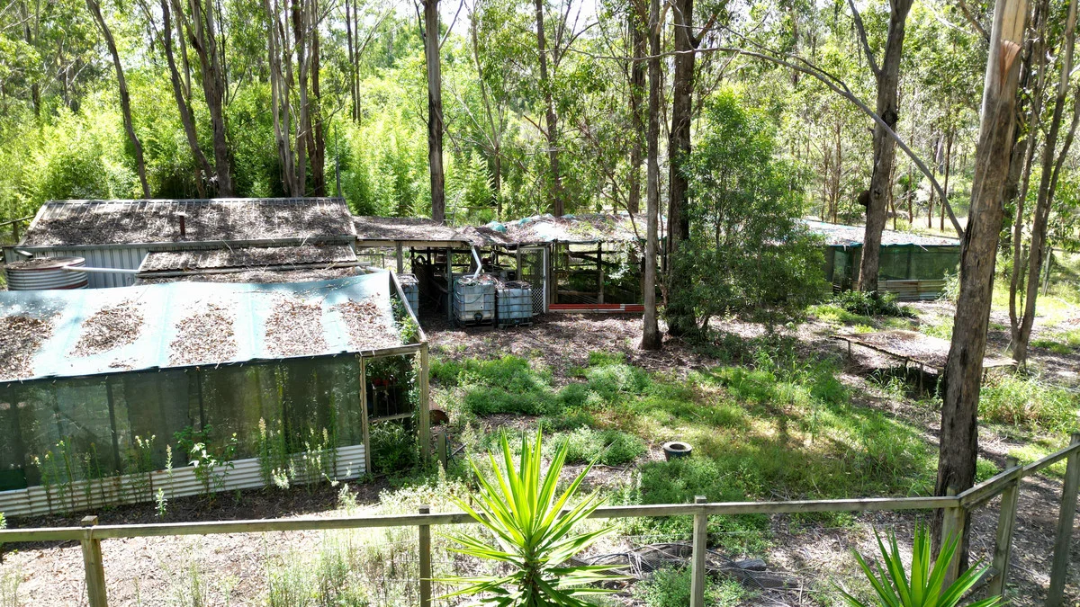 Image 37