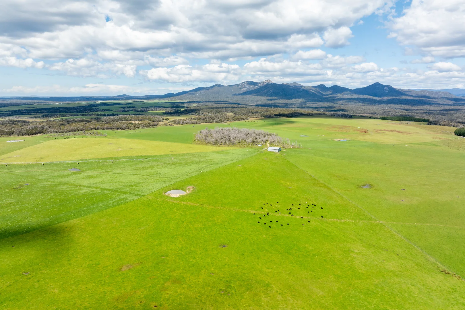 Additional image 19 of . Waterhouse Road, Boobyalla TAS 7264