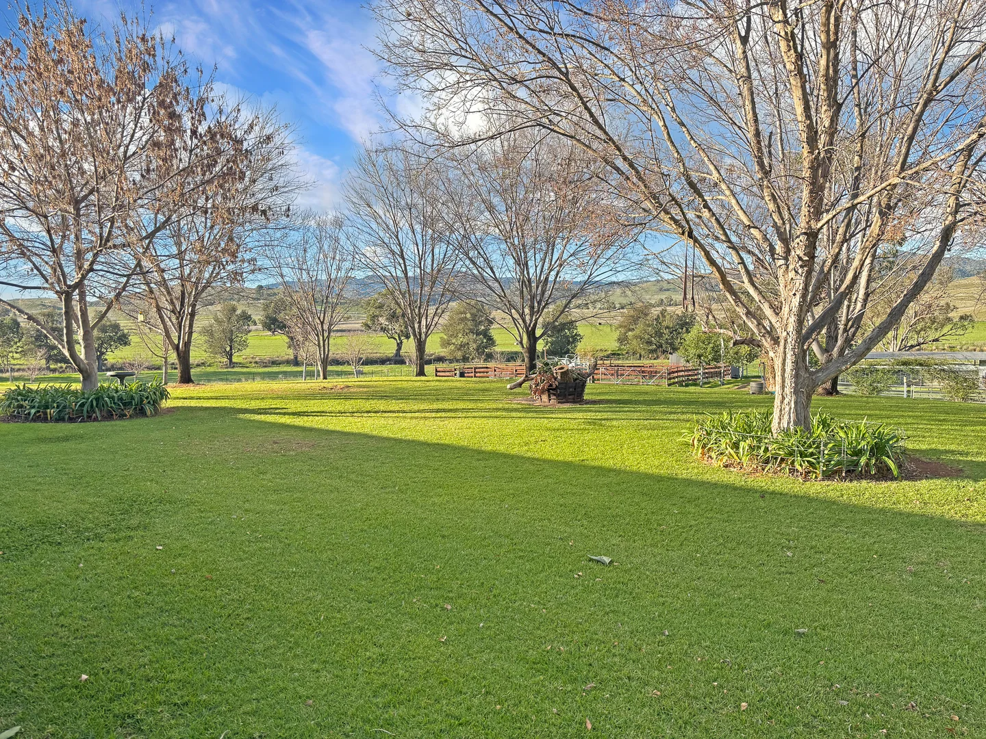 Image 15