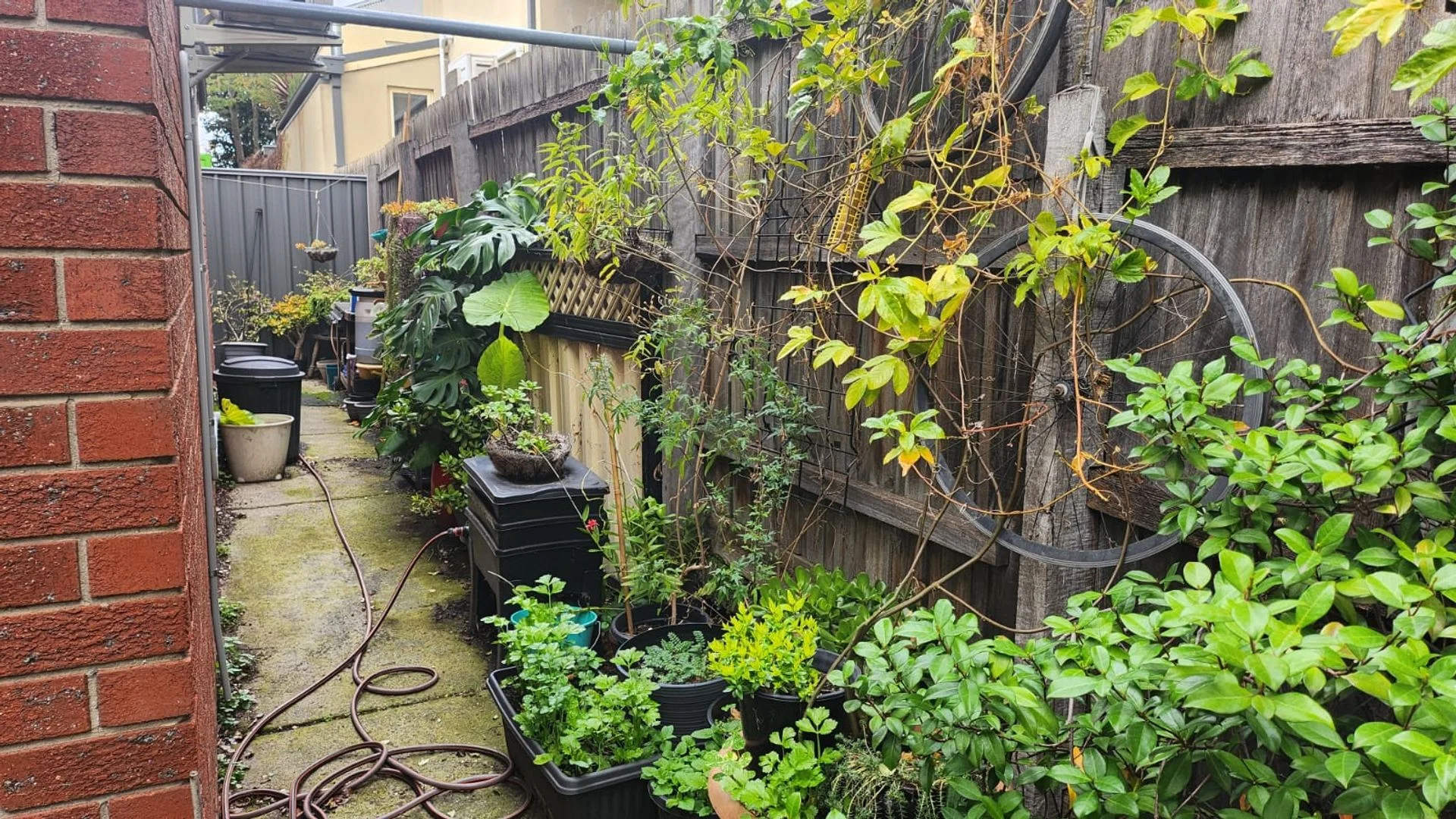 Additional image 14 of Brunswick West VIC 3055