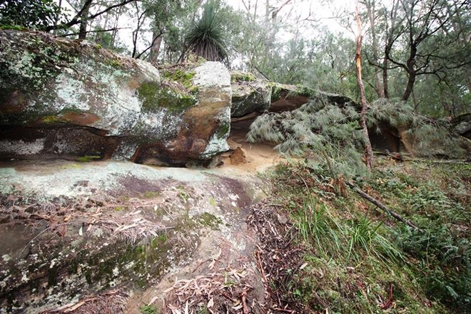 Picture of 680 Brokenback Trail, CEDAR CREEK NSW 2325