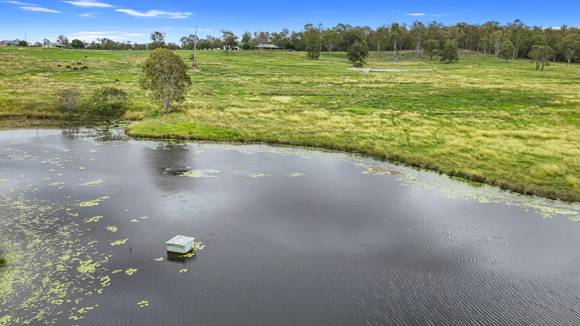 Image 22