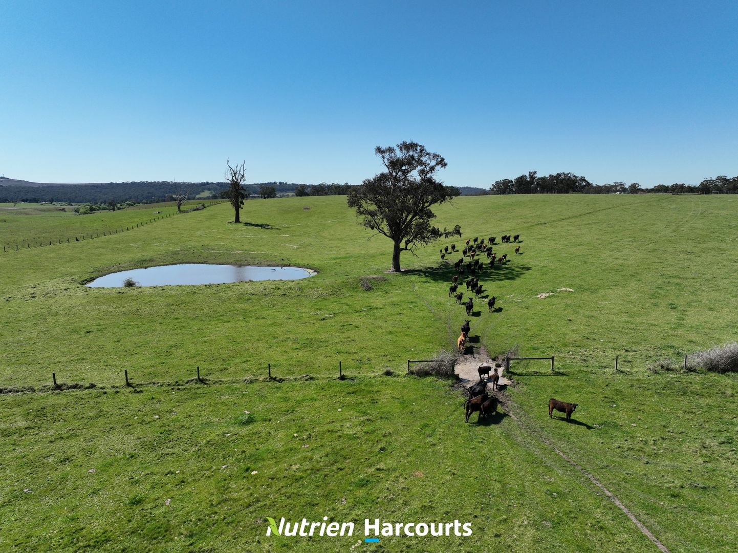 Lot 1 & CA 15C Pieras Road, Hiamdale VIC 3847, Image 1