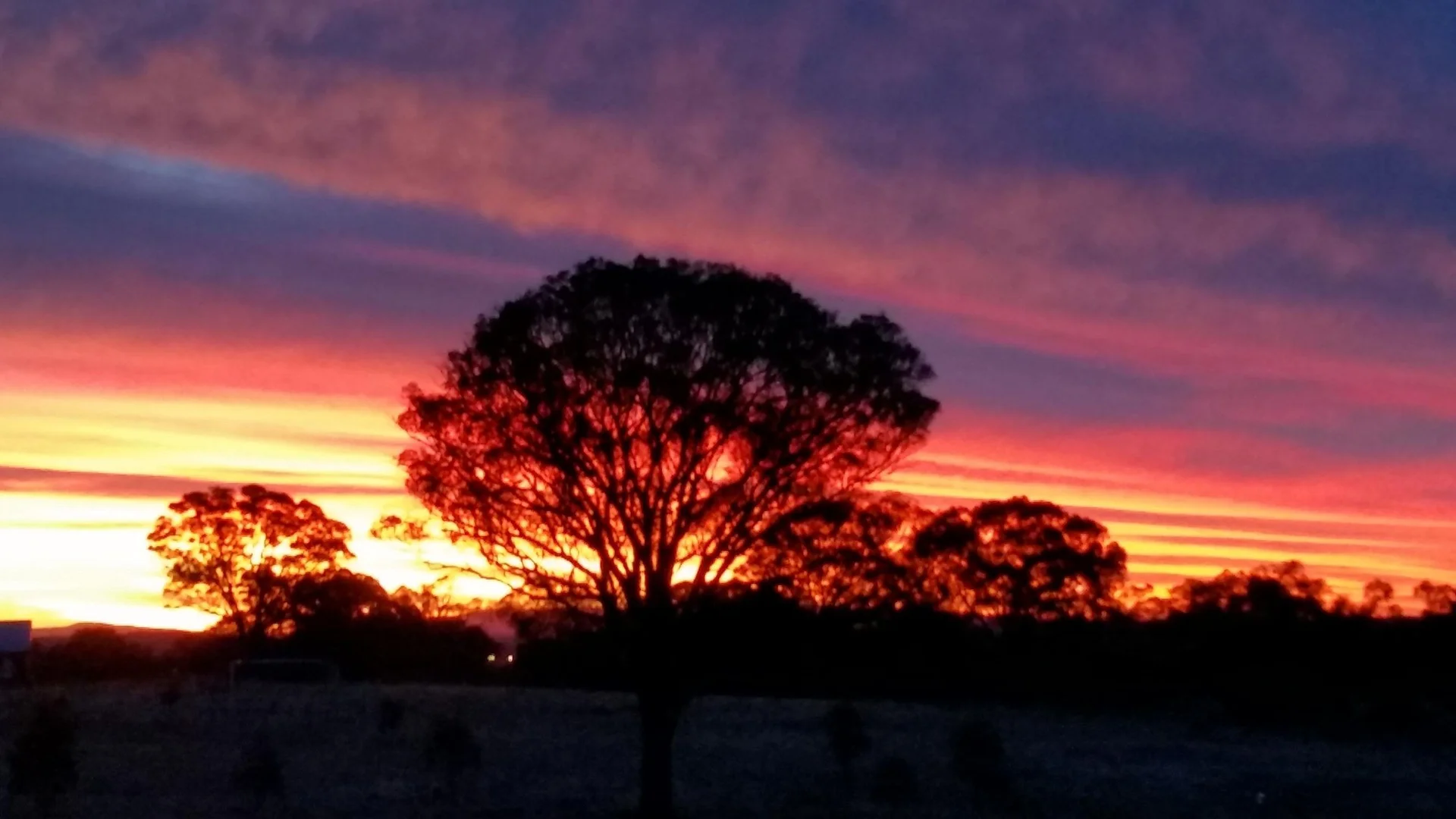 Additional image 26 of 5 STRINGYBARK PLACE, Manton NSW 2582