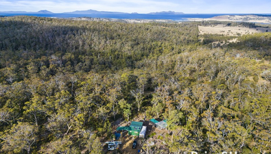 Picture of 210 & 214 Bresnehans Road, LITTLE SWANPORT TAS 7190