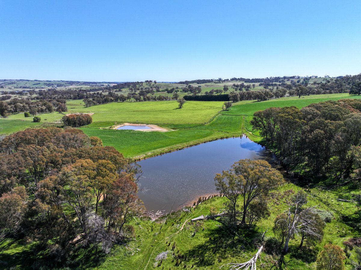 343 Redground Heights Road, Laggan, Crookwell NSW 2583, Image 2