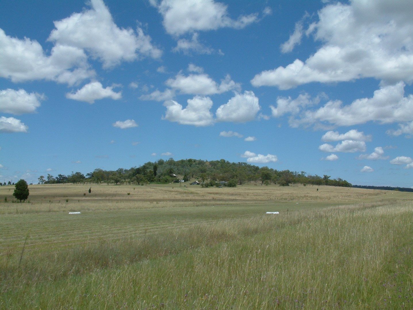 ' Sunnyside', Southbrook QLD 4363, Image 0