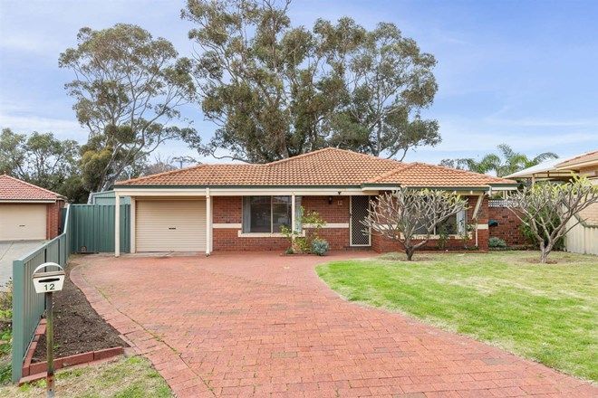 Picture of 12 Briggs Court, BEACONSFIELD WA 6162