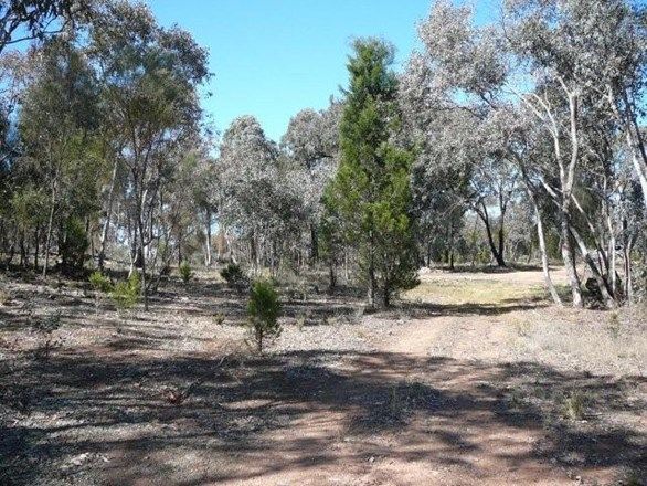 Lot 10  Carinya Estate, Boorowa NSW 2586, Image 0