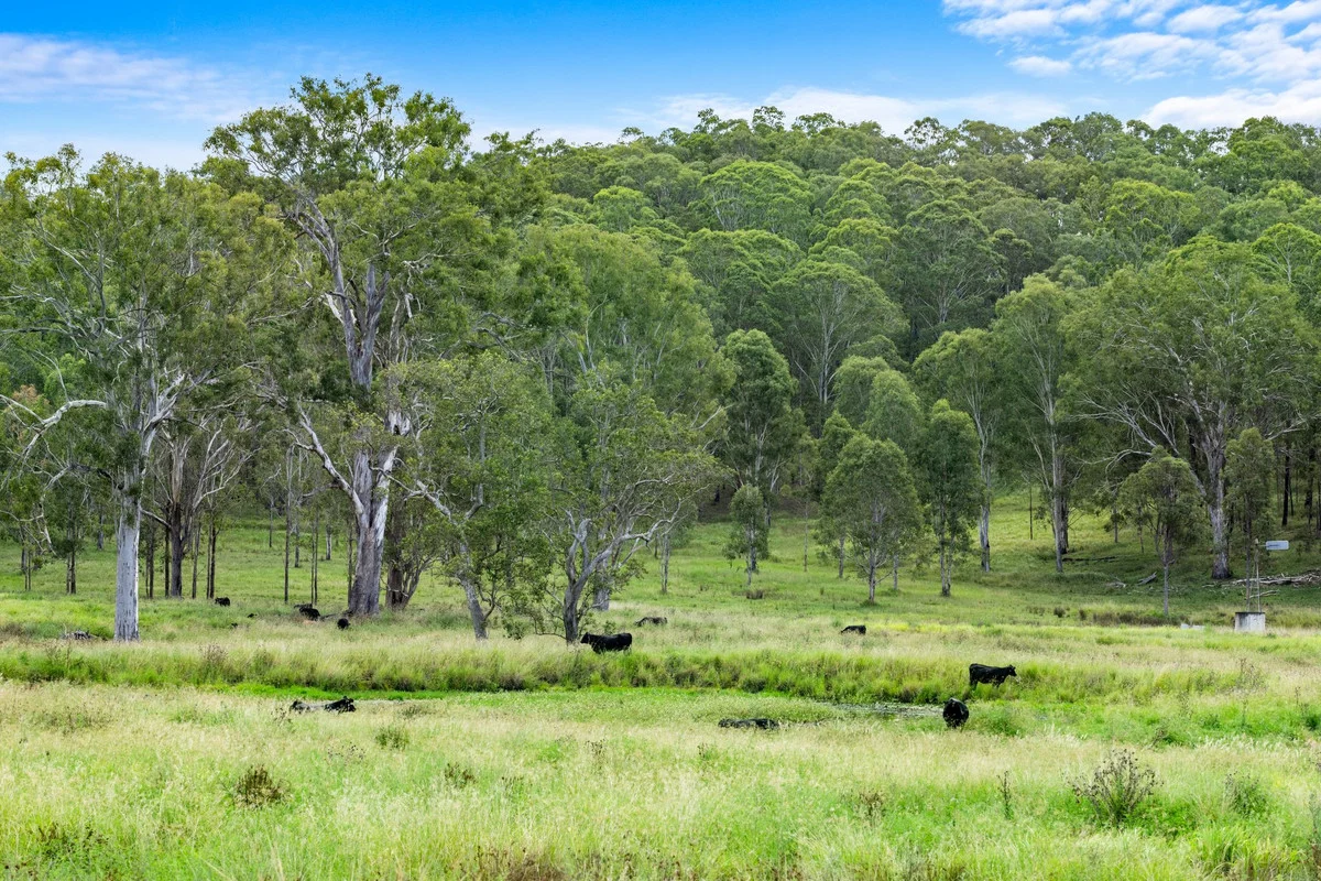 Additional image 7 of 760 Old Dyraaba Road, Woodview NSW 2470