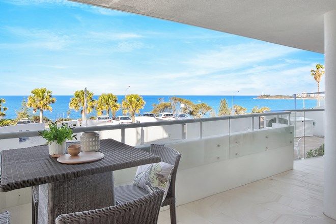 114 Rental Properties In Alexandra Headland Qld 4572 Domain