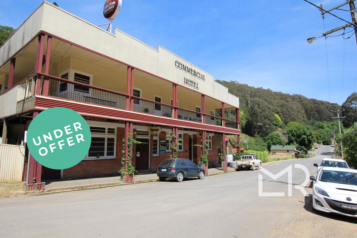 22 Bridge Street, Woods Point VIC 3723 House for Sale 595,000