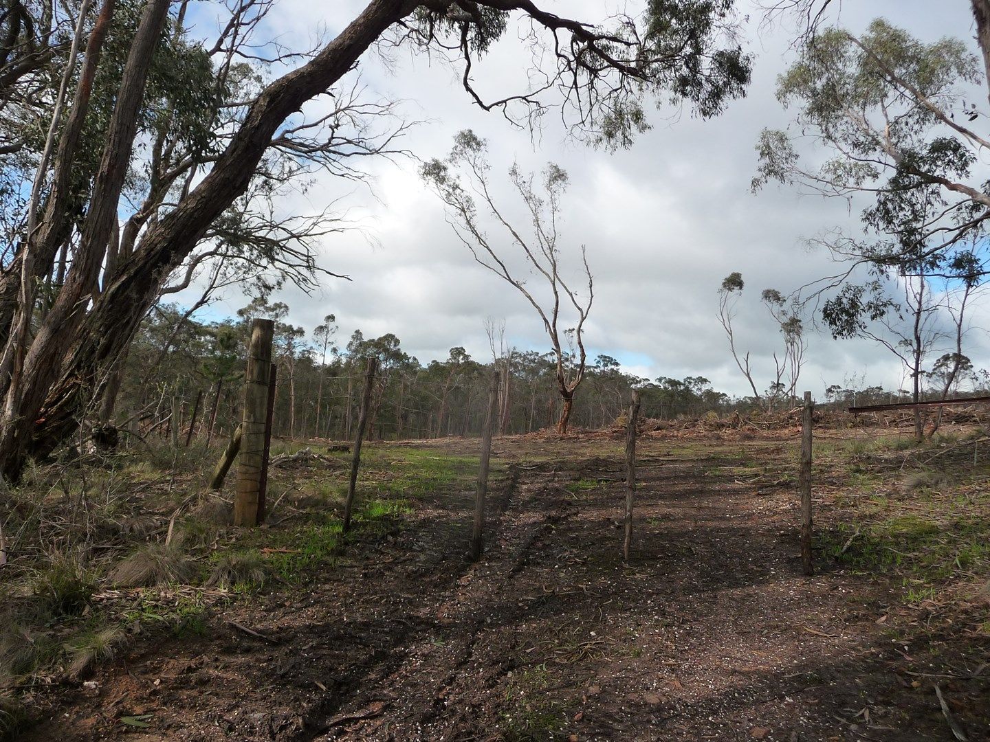 Lot 59J Mopoke Gully Lane, Beaufort VIC 3373, Image 0