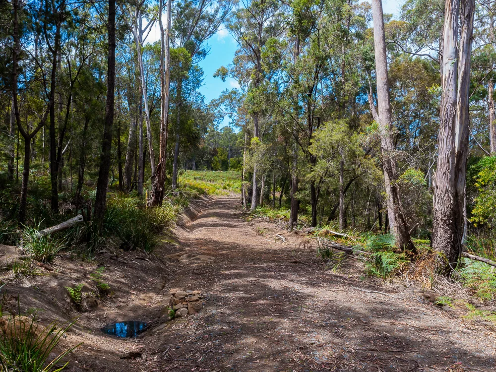 Additional image 21 of 257 Motor Road, Deviot TAS 7275